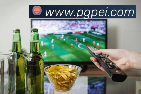 pg电子平台生态图
